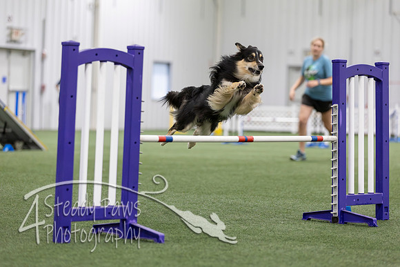 MastersSeriesAgility2026172
