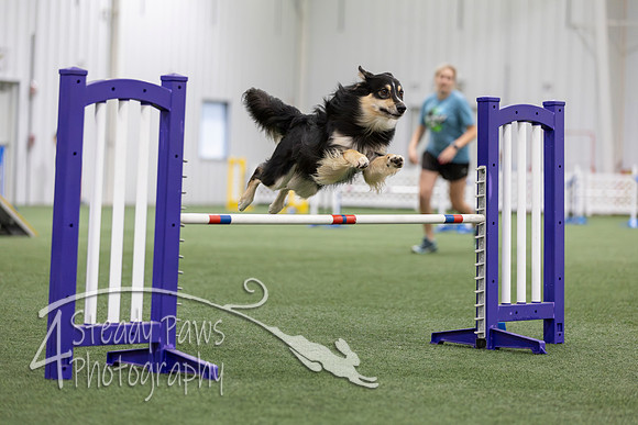 MastersSeriesAgility2026173