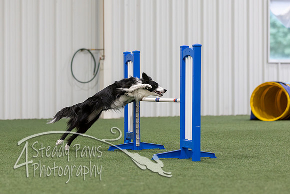 MastersSeriesAgility2026175