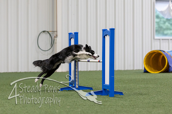MastersSeriesAgility2026176