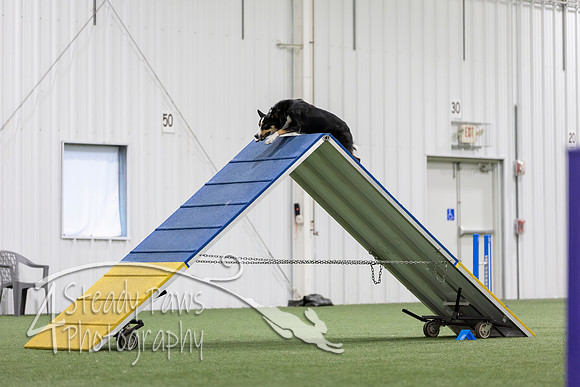 MastersSeriesAgility2026177