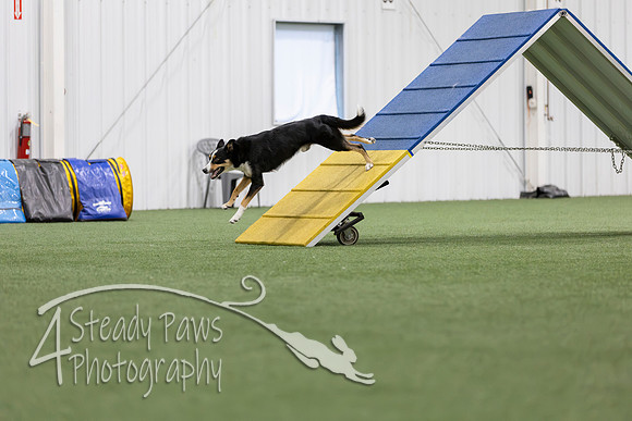 MastersSeriesAgility2026178