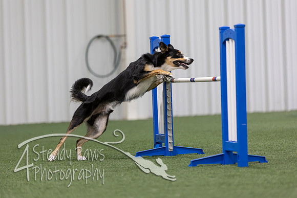 MastersSeriesAgility2026179