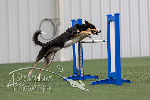 MastersSeriesAgility2026180