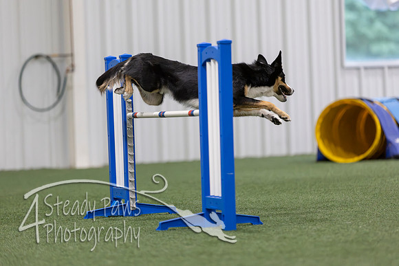 MastersSeriesAgility2026181