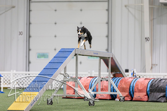 MastersSeriesAgility2026182
