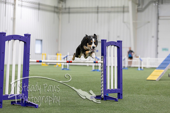 MastersSeriesAgility2026184