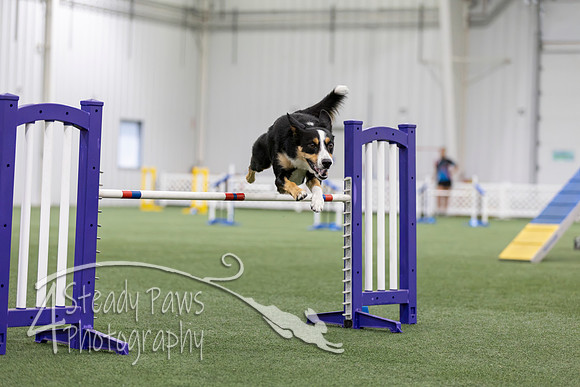 MastersSeriesAgility2026185