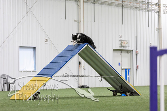 MastersSeriesAgility2026186