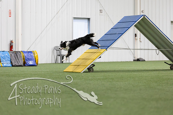 MastersSeriesAgility2026187