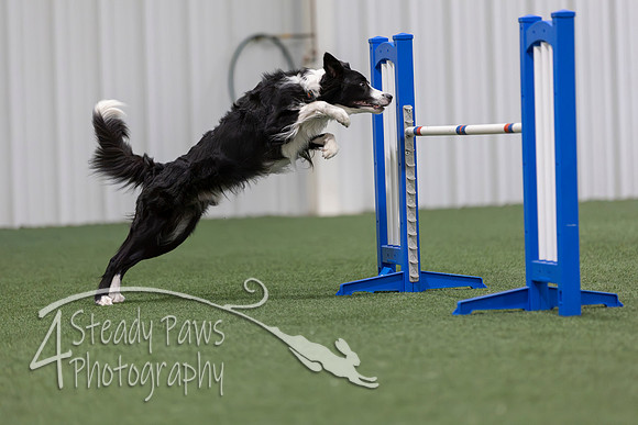 MastersSeriesAgility2026188