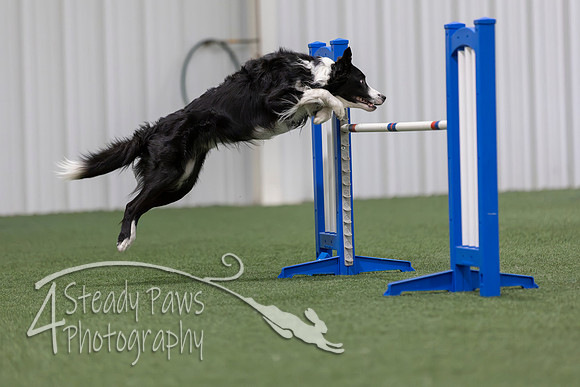 MastersSeriesAgility2026189