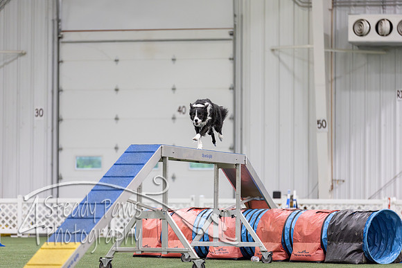 MastersSeriesAgility2026190