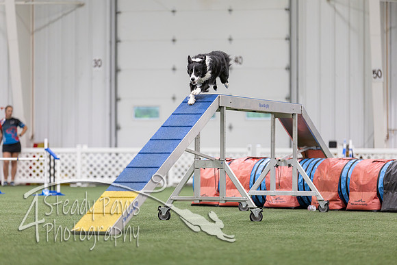 MastersSeriesAgility2026191