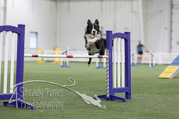 MastersSeriesAgility2026193