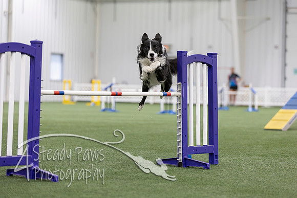 MastersSeriesAgility2026194