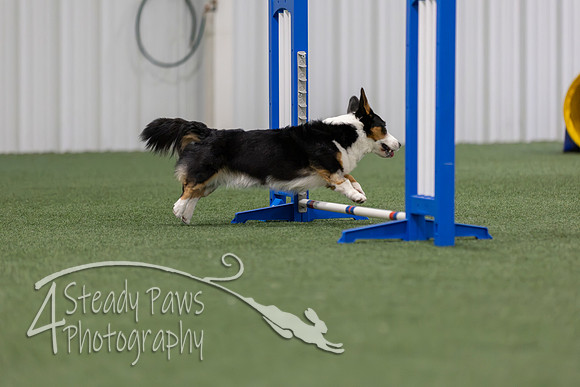 MastersSeriesAgility2026196