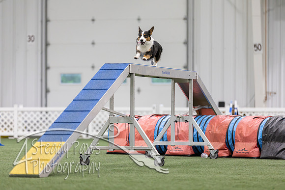 MastersSeriesAgility2026197
