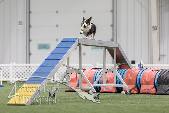 MastersSeriesAgility2026198
