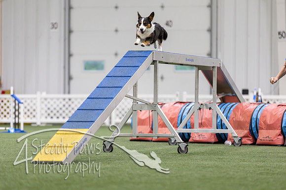 MastersSeriesAgility2026199