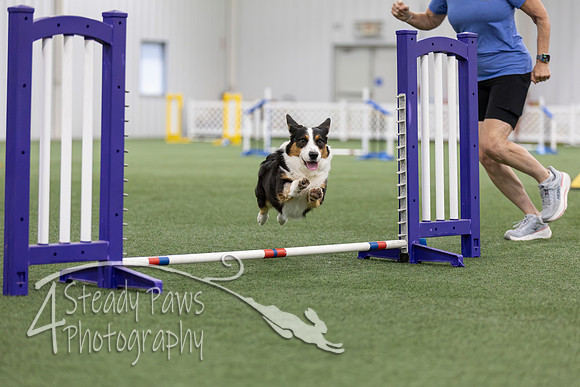 MastersSeriesAgility2026200