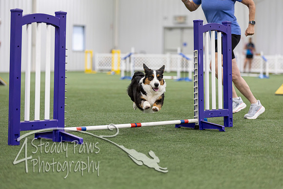 MastersSeriesAgility2026201