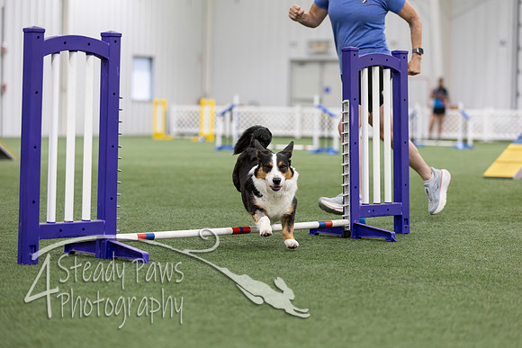 MastersSeriesAgility2026202