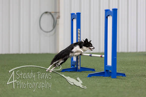 MastersSeriesAgility2026204