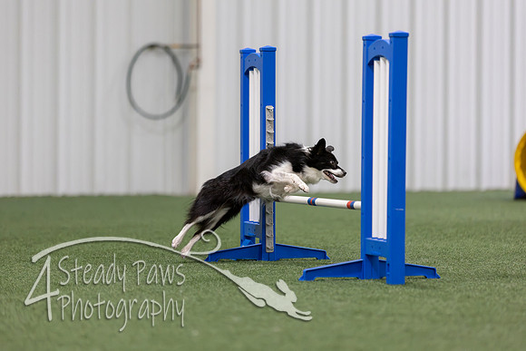 MastersSeriesAgility2026205