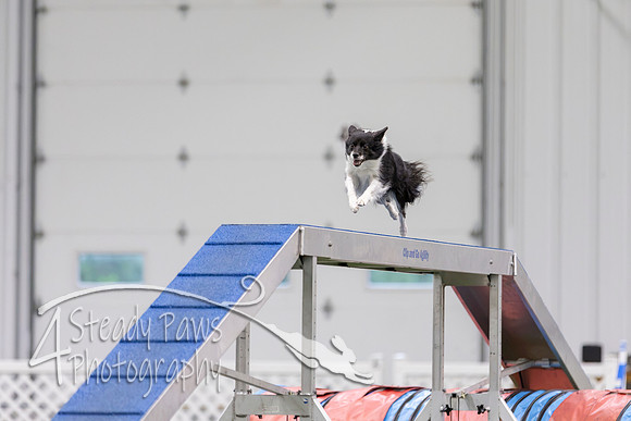 MastersSeriesAgility2026206