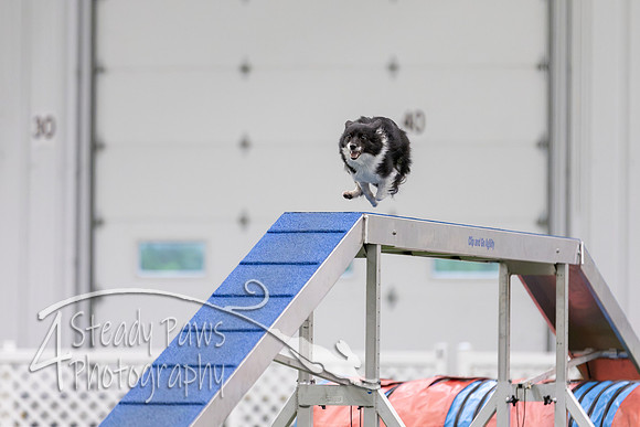 MastersSeriesAgility2026207