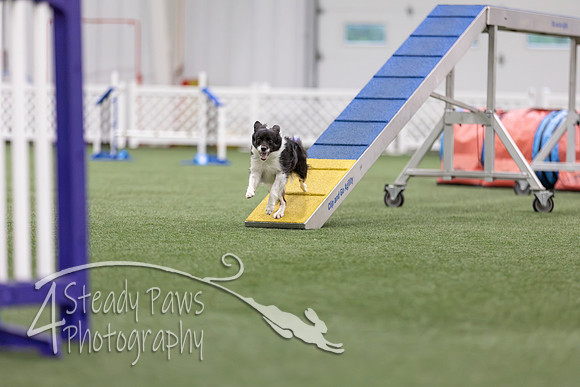MastersSeriesAgility2026209