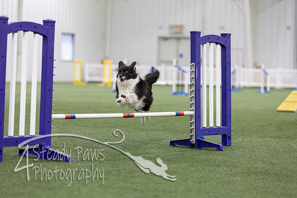 MastersSeriesAgility2026210