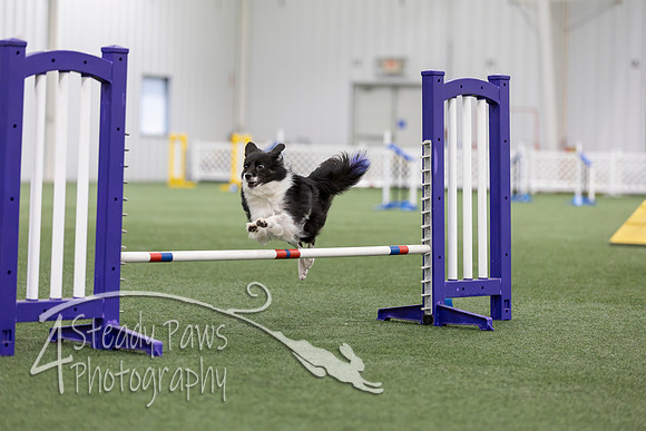 MastersSeriesAgility2026211