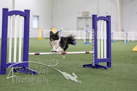 MastersSeriesAgility2026212