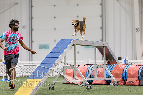 MastersSeriesAgility2026214