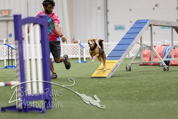 MastersSeriesAgility2026216