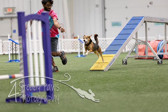 MastersSeriesAgility2026217