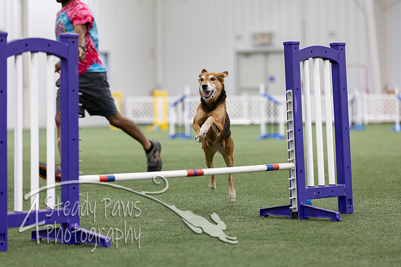 MastersSeriesAgility2026218