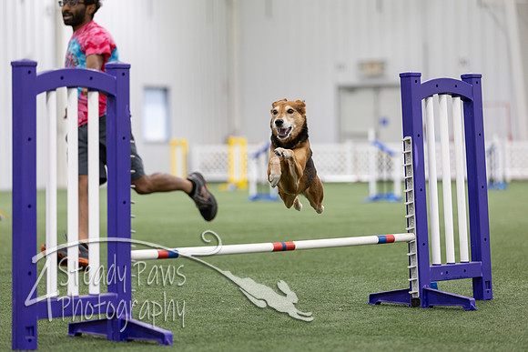 MastersSeriesAgility2026219