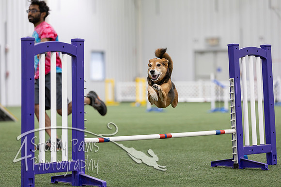 MastersSeriesAgility2026220