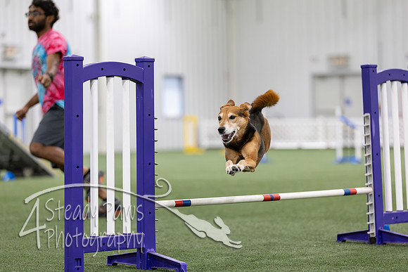 MastersSeriesAgility2026221