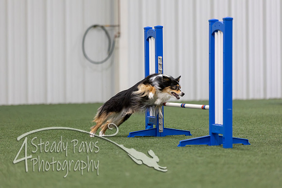 MastersSeriesAgility2026223