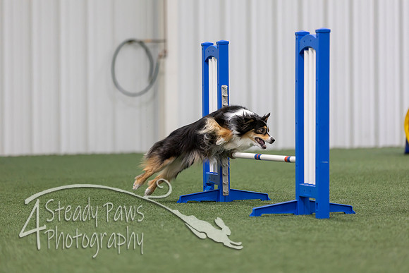 MastersSeriesAgility2026224