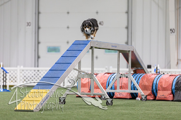 MastersSeriesAgility2026226