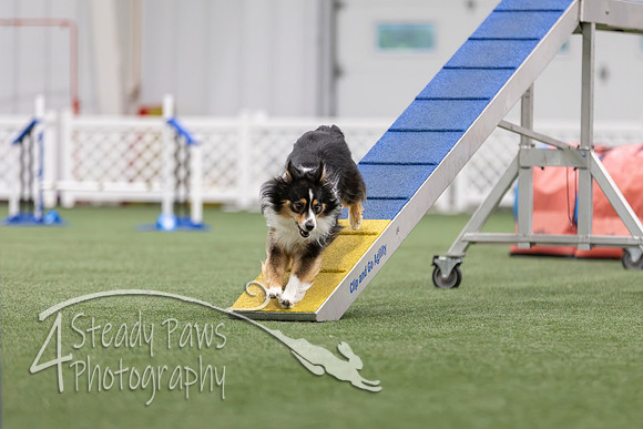 MastersSeriesAgility2026227