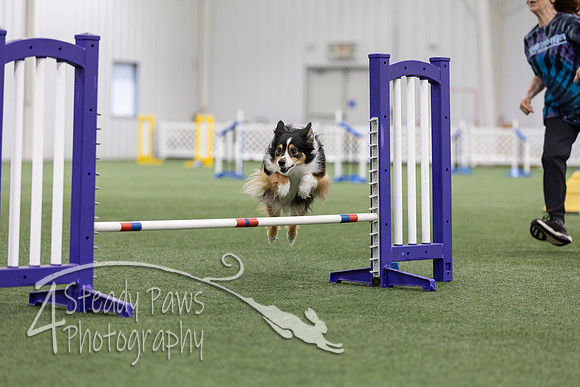MastersSeriesAgility2026228