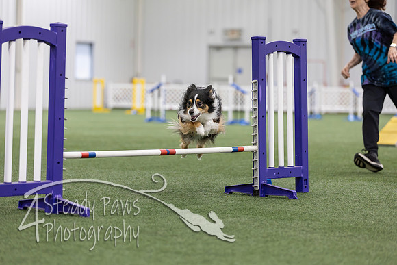MastersSeriesAgility2026229
