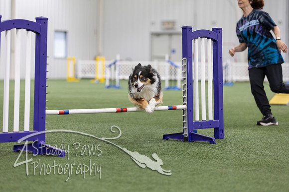 MastersSeriesAgility2026230