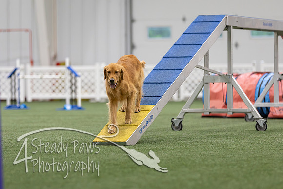 MastersSeriesAgility2026235